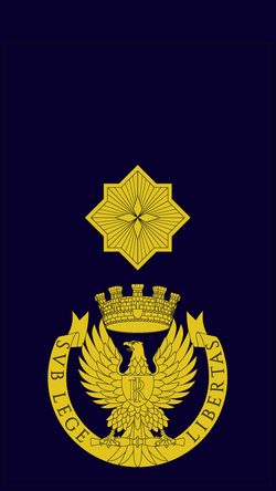 Commissario capo ps.png